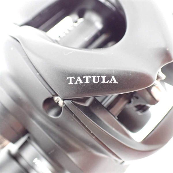 ２４タトゥーラＴＷ１００Ｈ右